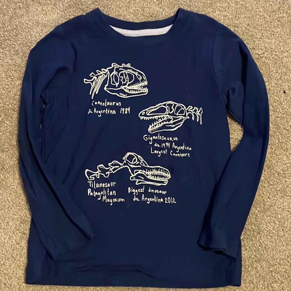 Tea Collection Dinosaur Shirt.